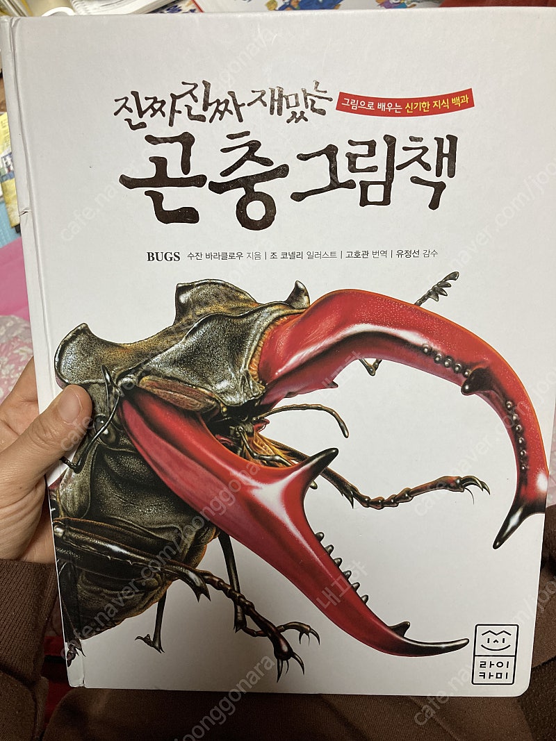 진짜진짜 재밌는 곤충그림책