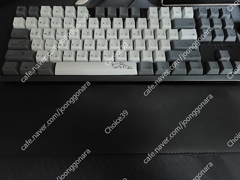 체리 g80-3000s rgb 풀윤활작--0