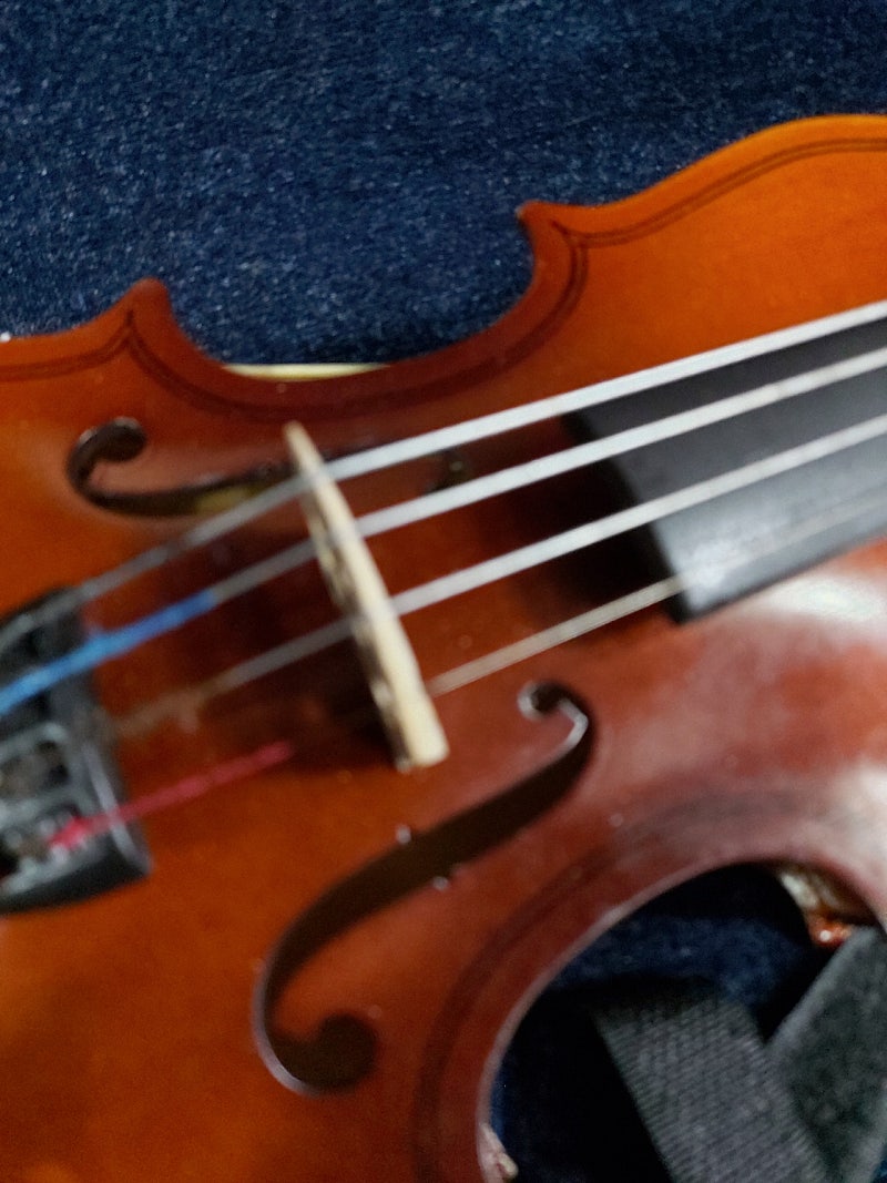 fino 32/1 바이올린--8