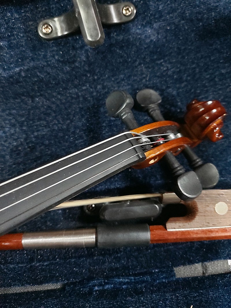 fino 32/1 바이올린--6