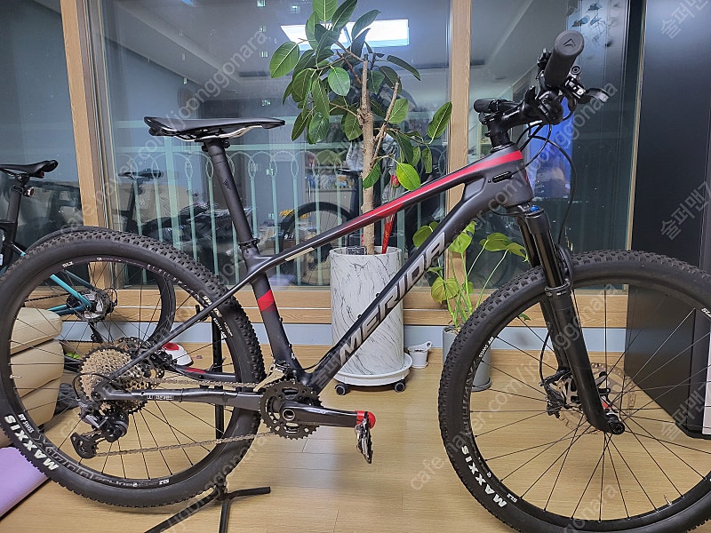 2020메리다 빅세븐 XT