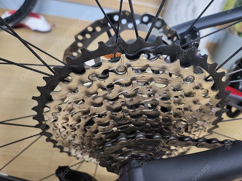 2020메리다 빅세븐 XT--2