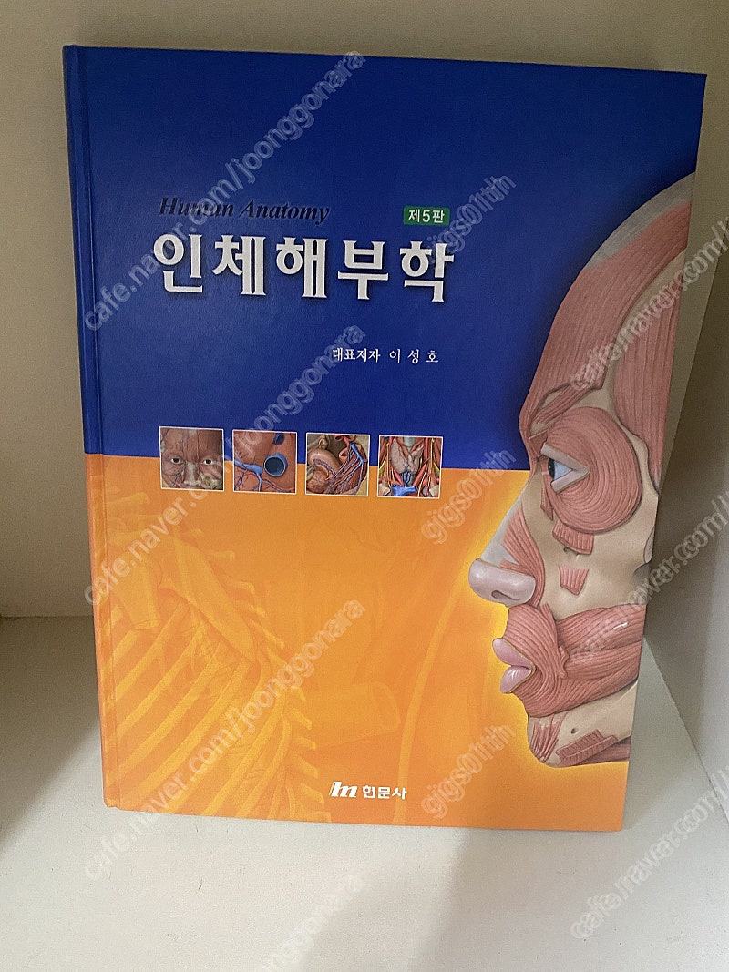 현문사) 인체해부학-이성호 (제5판 수정판), 2012년 발행책 / 택배비포함 12000원