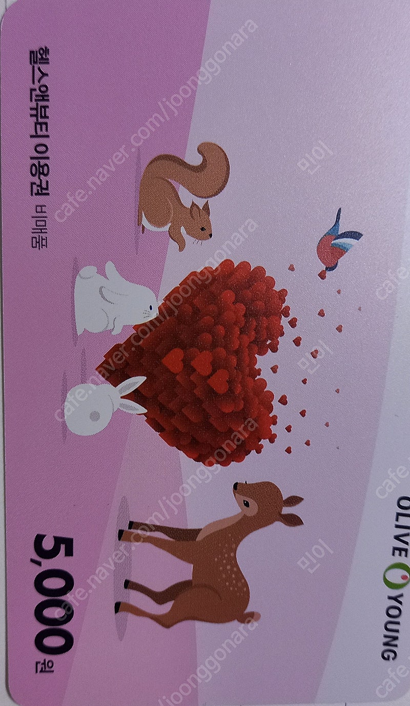 올리브영 헬스앤뷰티 이용권
