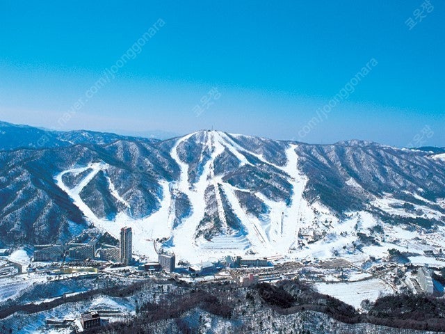 제주도 콘도 휘닉스 아일랜드 양도 합니다