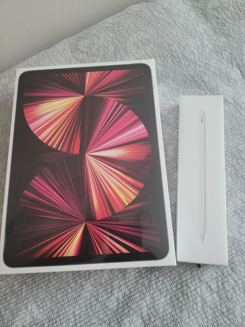 미개봉 판매 iPad Pro 11 (Wi-Fi / 256G / 스페이스 그레이) + 펜슬2