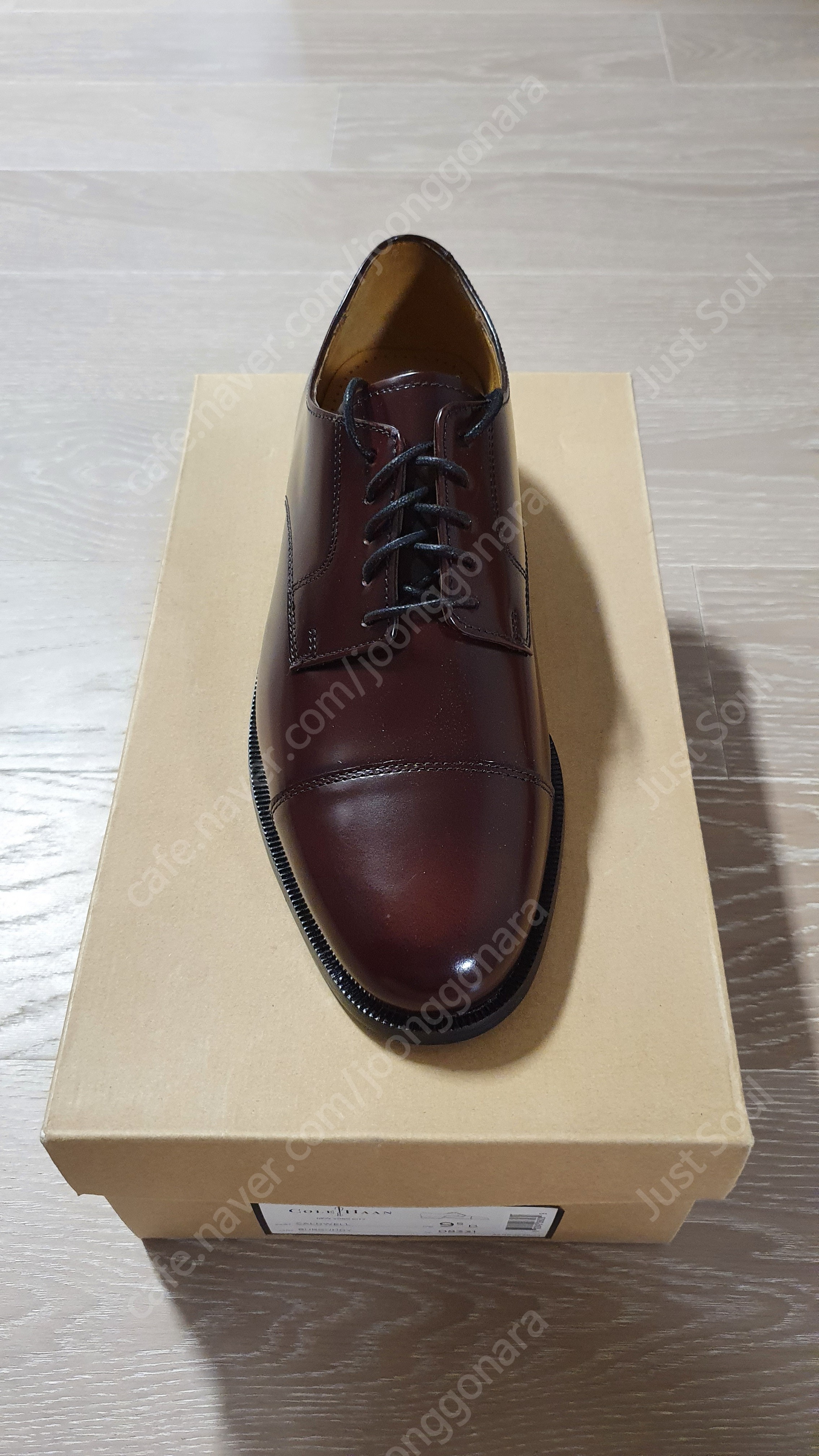 cole haan caldwell