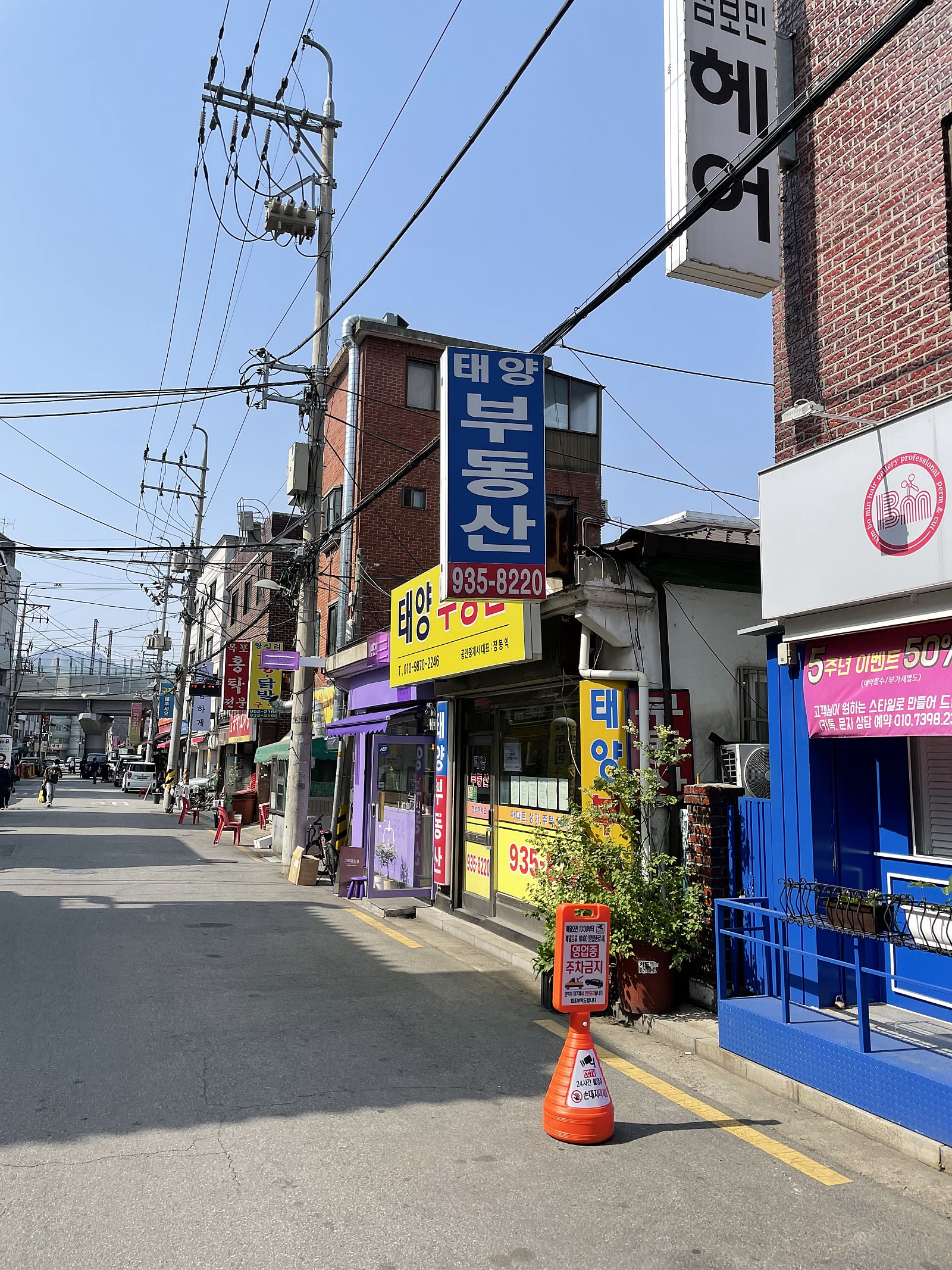 조선명통닭 이미지