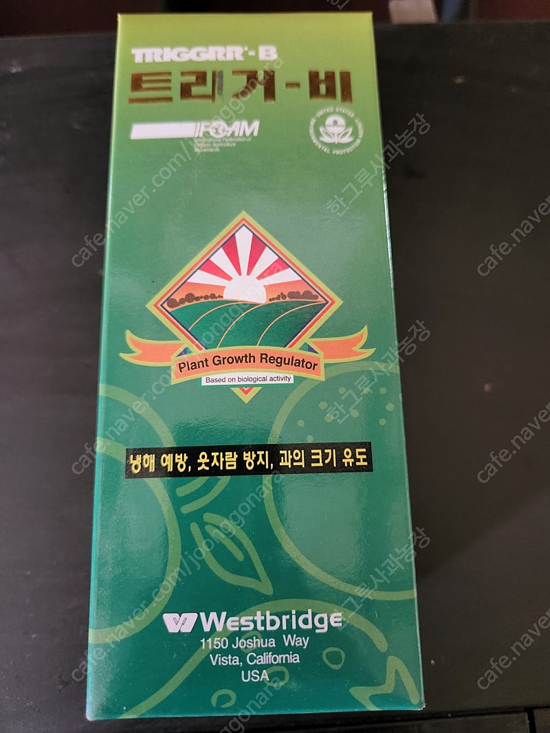 트리거B 트리거비 비대제