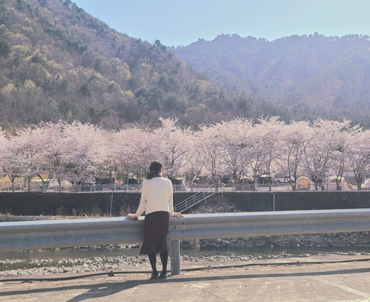 삼척엘림캠핑장 이미지