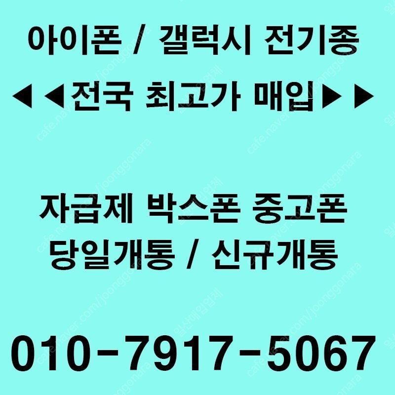 아이패드 프로 12.9인치 5세대 / 갤럭시탭 s8 울트라 당일매입