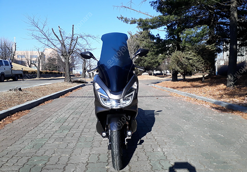 Pcx125