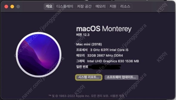 Mac mini 2018 / i5 / 256GB / 32GB RAM 판매합니다