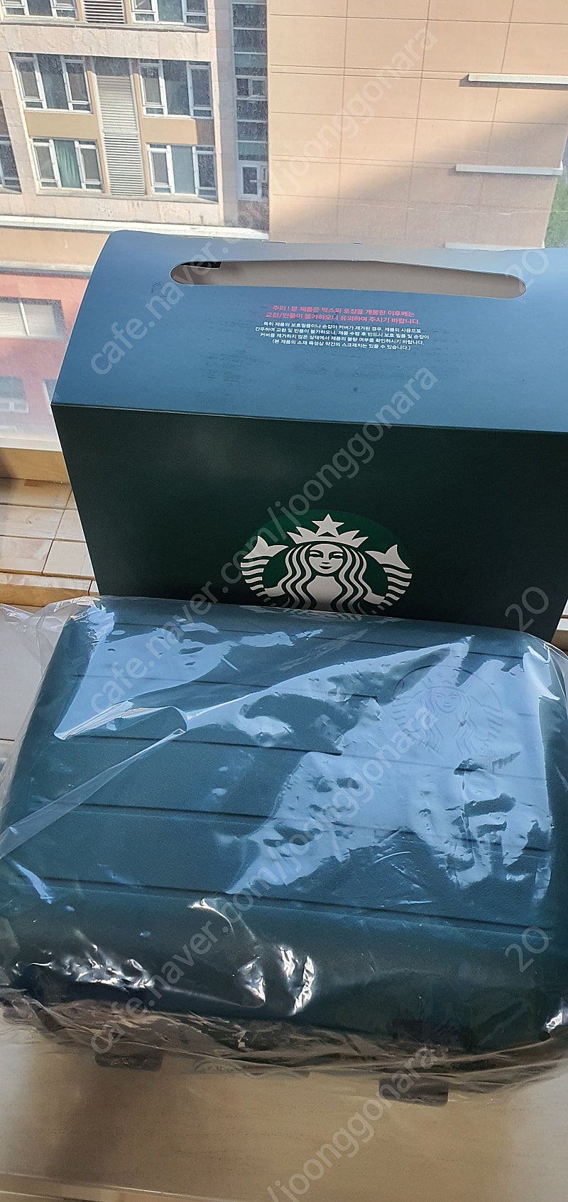 스타벅스 Starbucks 썸머 레디백