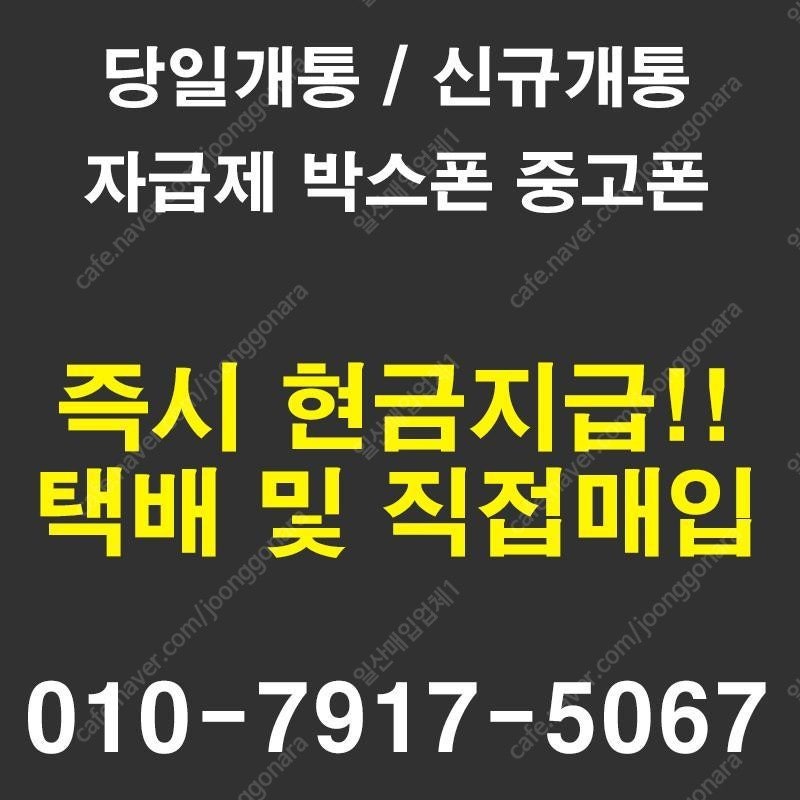 아이패드 프로 12.9인치 5세대 / 갤럭시탭 s8 울트라 당일매입