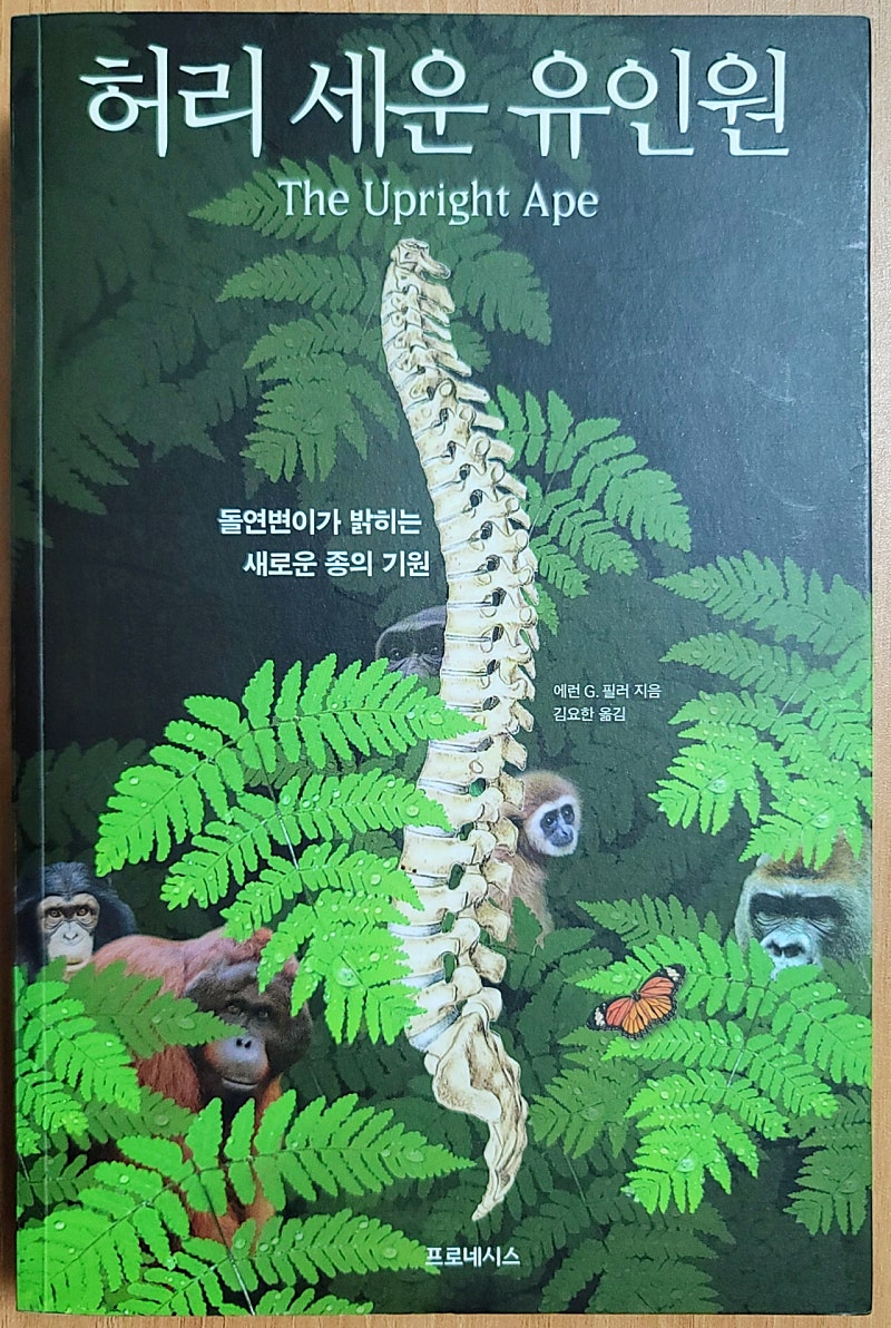 (무배) 허리 세운 유인원 에런 G 필러 돌연변이가 밝... | 예술/디자인 | 중고나라