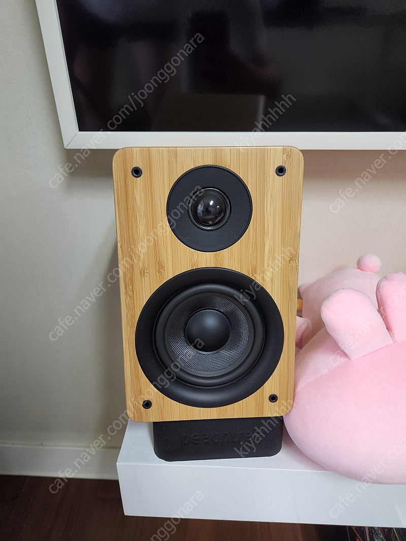 peachtree audio m24 블루투스 usb dac 일체형 액티브 북쉘프 스피커