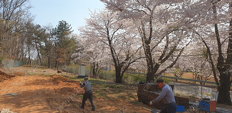 마끼다 플런지쏘 삽니다