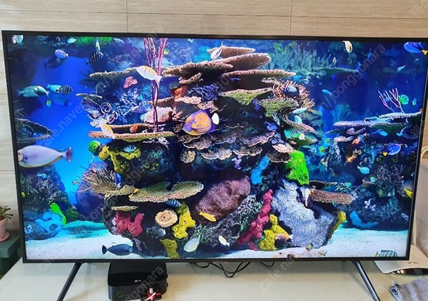 삼성 55인치 4K QLED 스마트 TV
