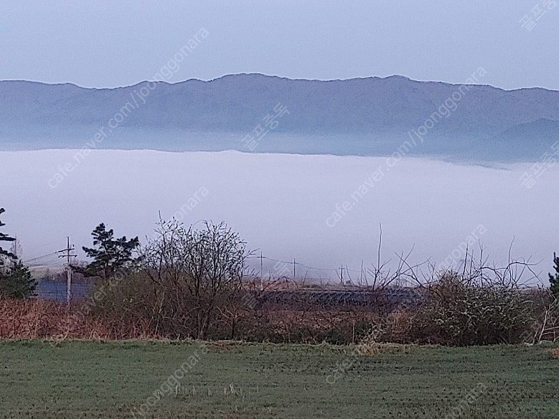 골프의류 찐정로스 업체원도매구합니다