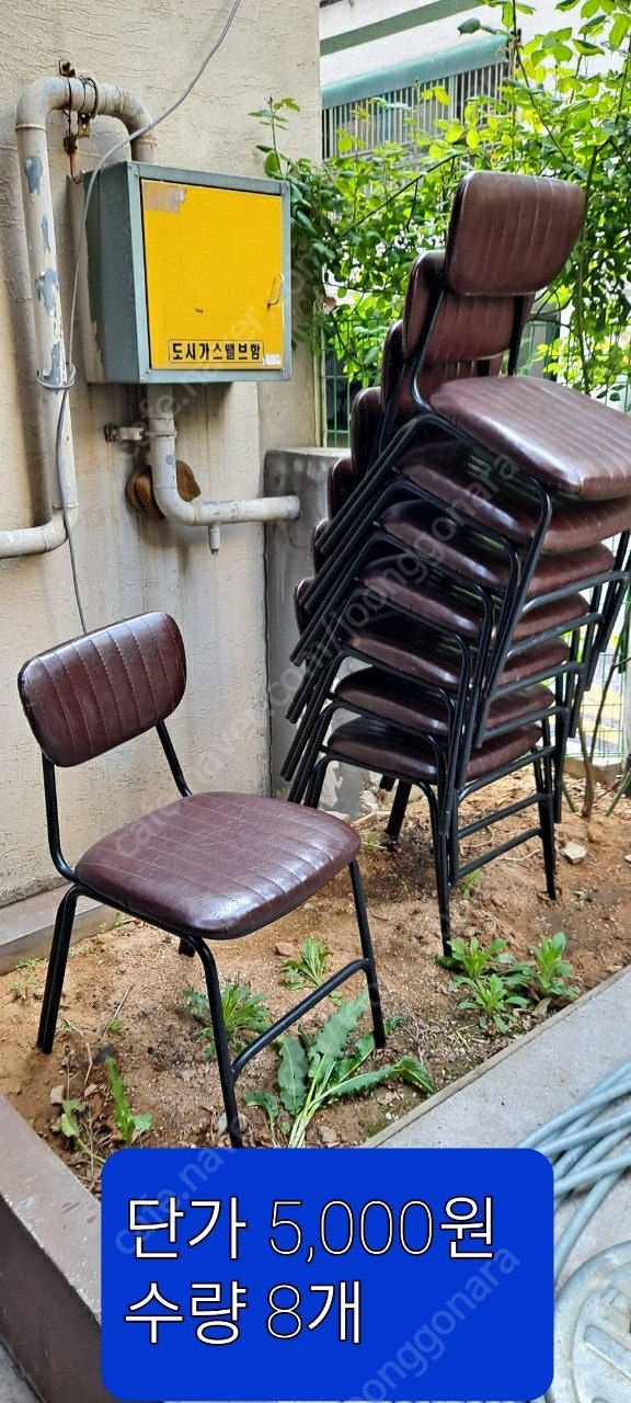 식당의자 팝니다