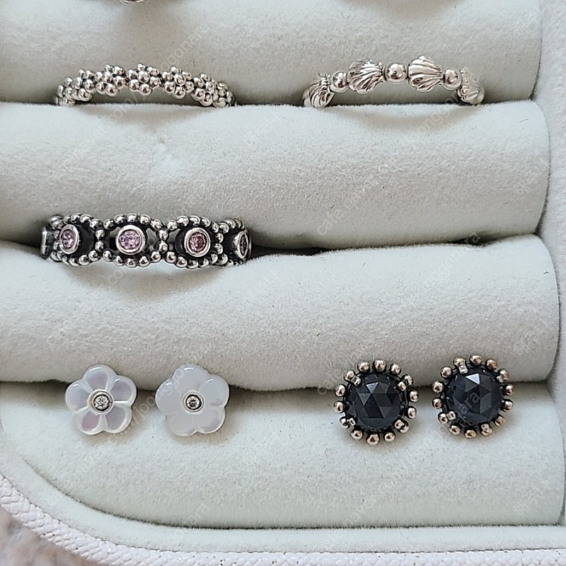 판도라 반지, 귀걸이, 푸들참, 노티드 팔찌--1