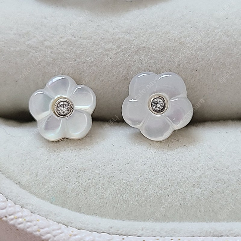 판도라 반지, 귀걸이, 푸들참, 노티드 팔찌--2