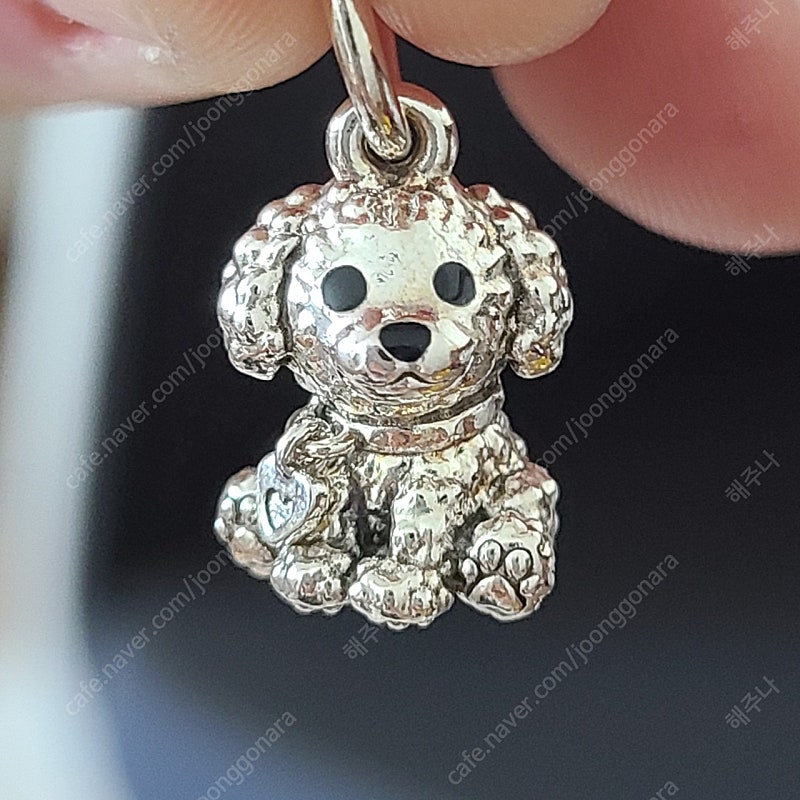 판도라 반지, 귀걸이, 푸들참, 노티드 팔찌--4