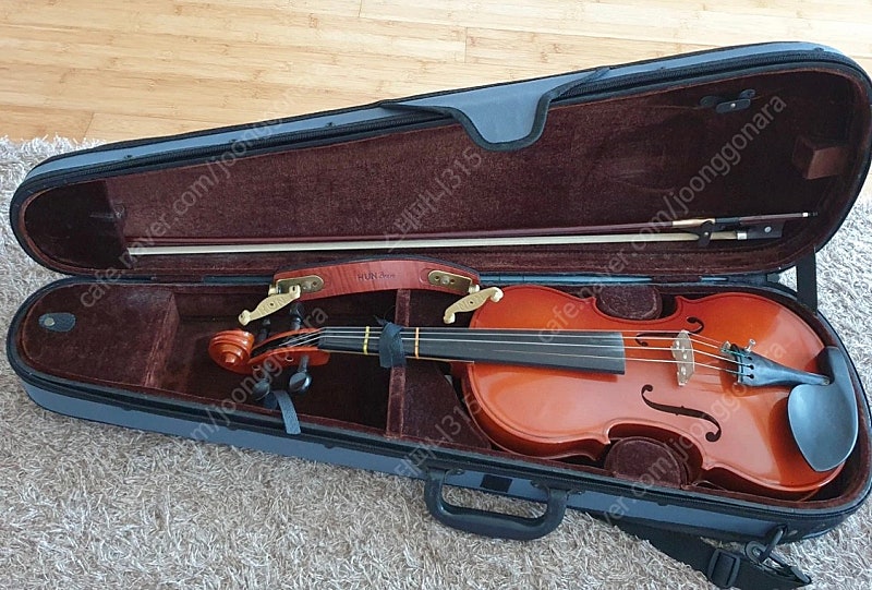 심로 바이올린 501