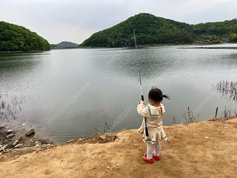 에르젠 리클라이너 체어 팝니다