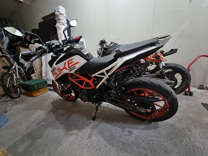 듀크390 19년식 대구--3