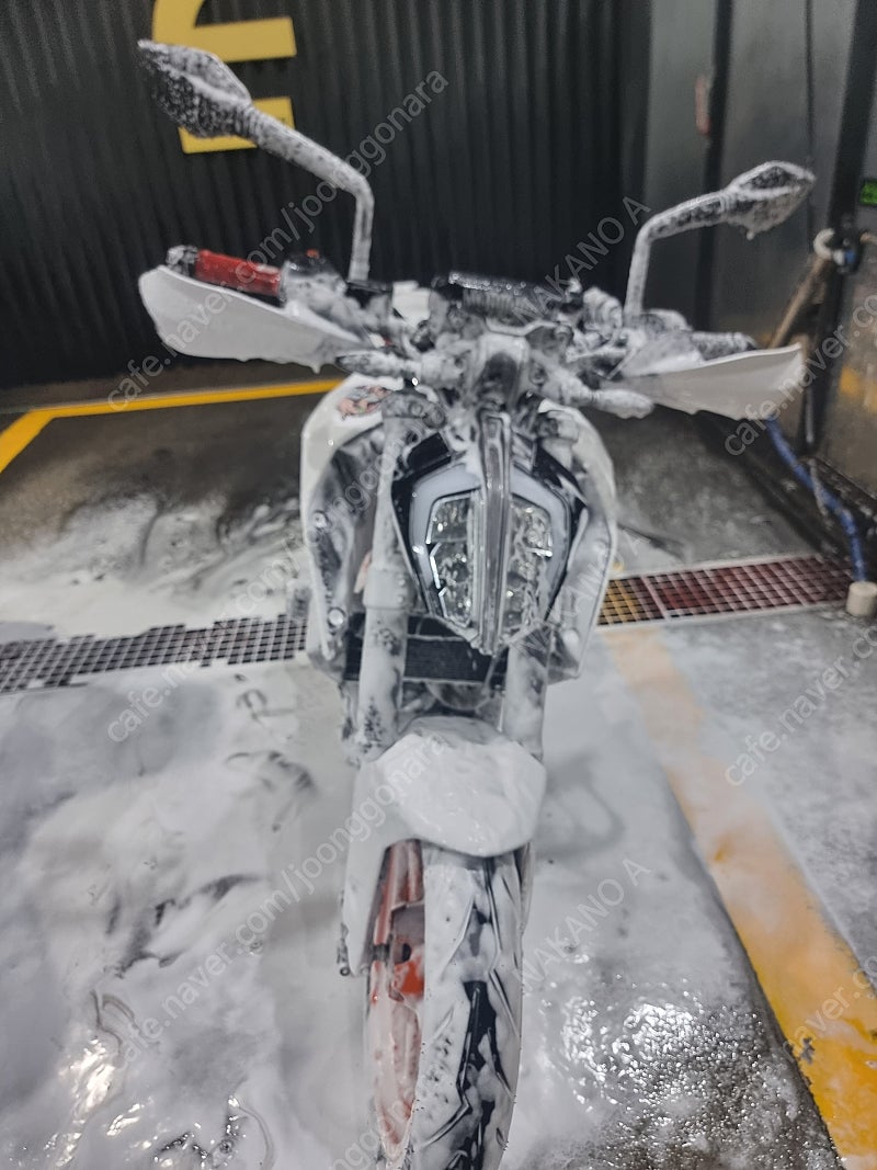 듀크390 19년식 대구