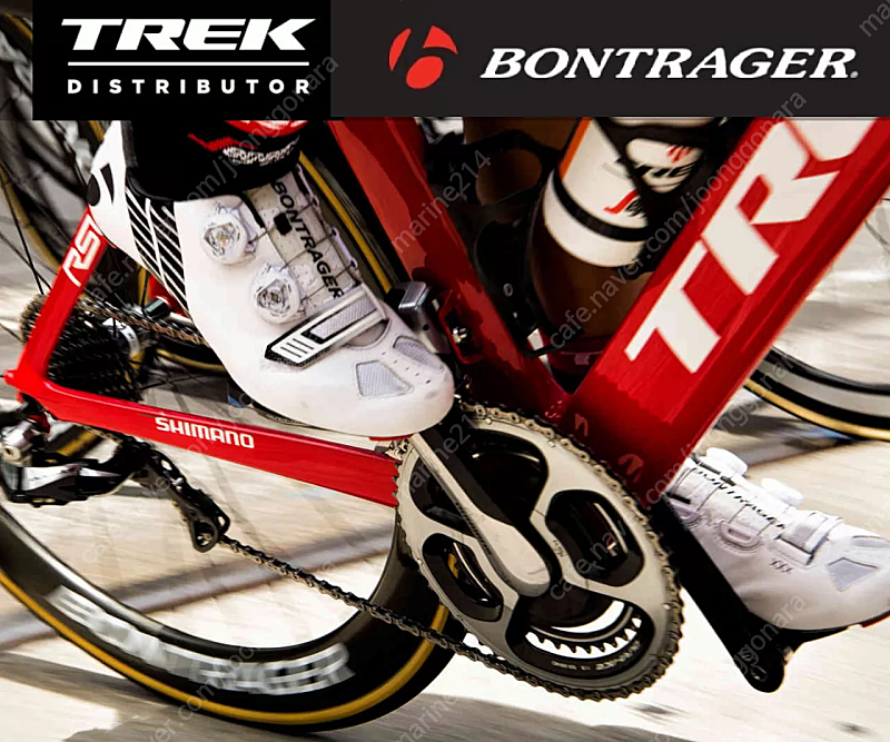 bontrager lohi