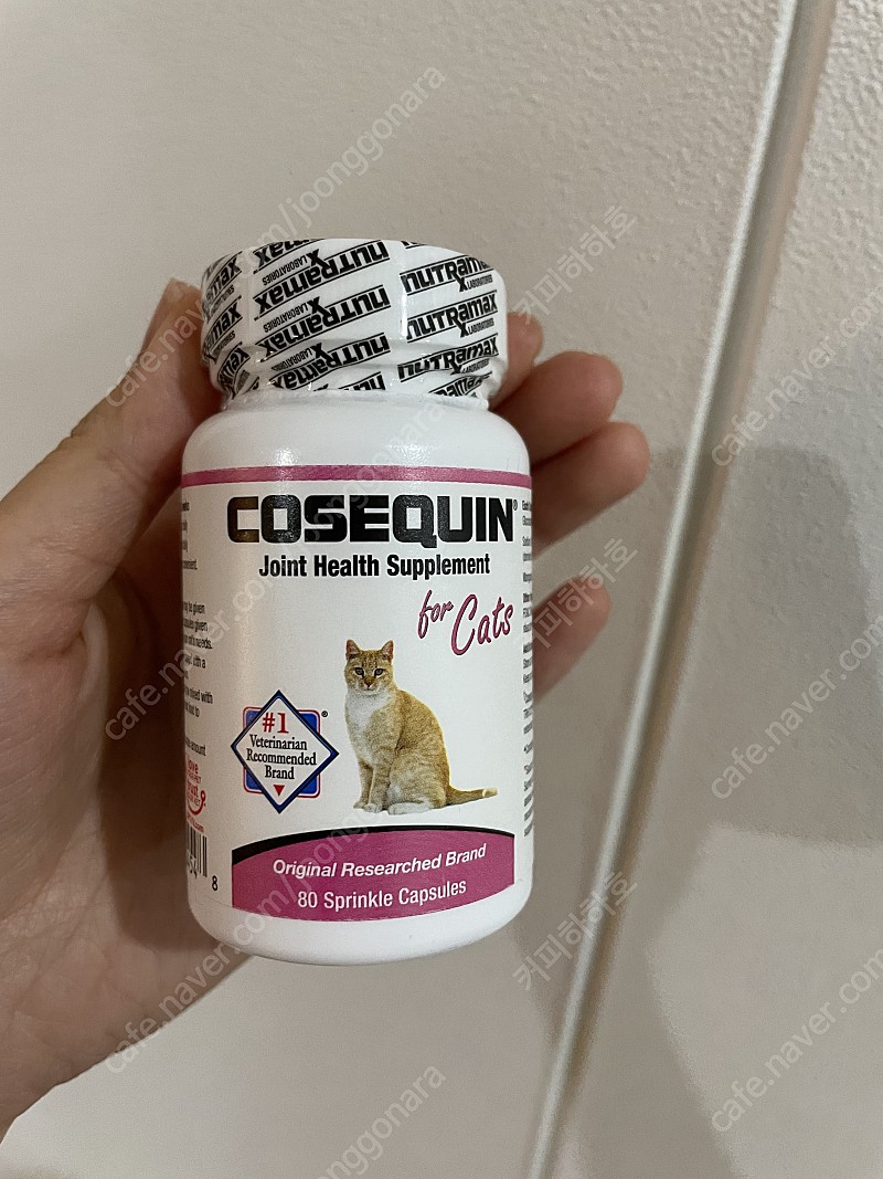 뉴트라맥스 코세퀸 고양이관절 영양제 NutraMax Cosequin For Cat