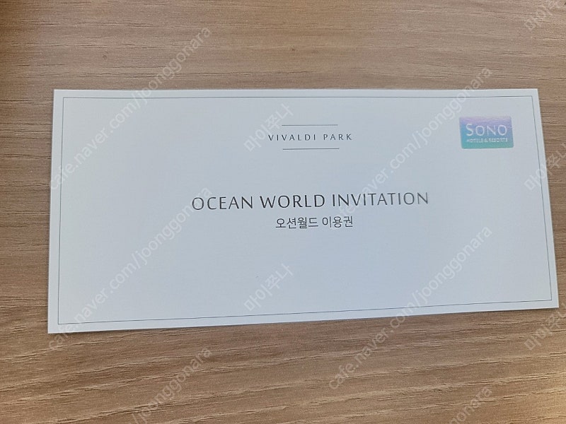 오션월드 2인 이용권