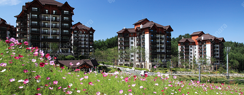용평리조트 노블리안콘도 베르데힐38평,49평+조식+케이...--3