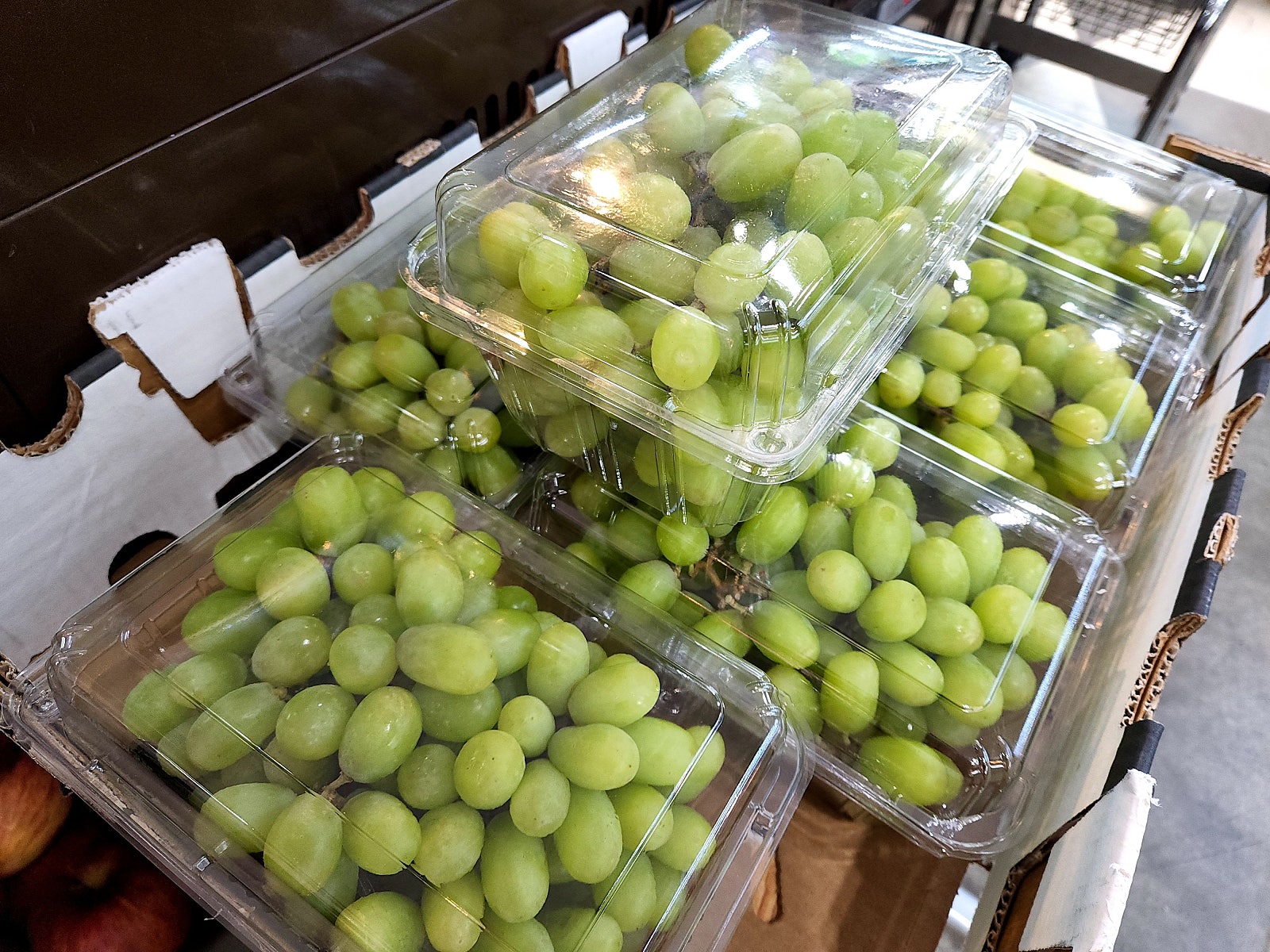 2022년 5월 19일 목요일 분당 TOMATO의농비어천가 : 네이버 블로그, image size:1600x1200