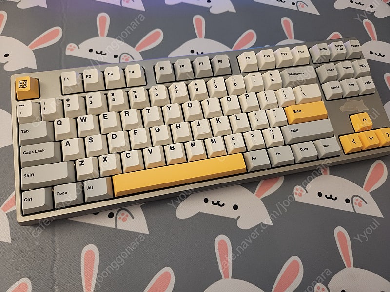 Frog tkl 상구리 하버그레이(기보강 2개) 판매합니다 내용 참고