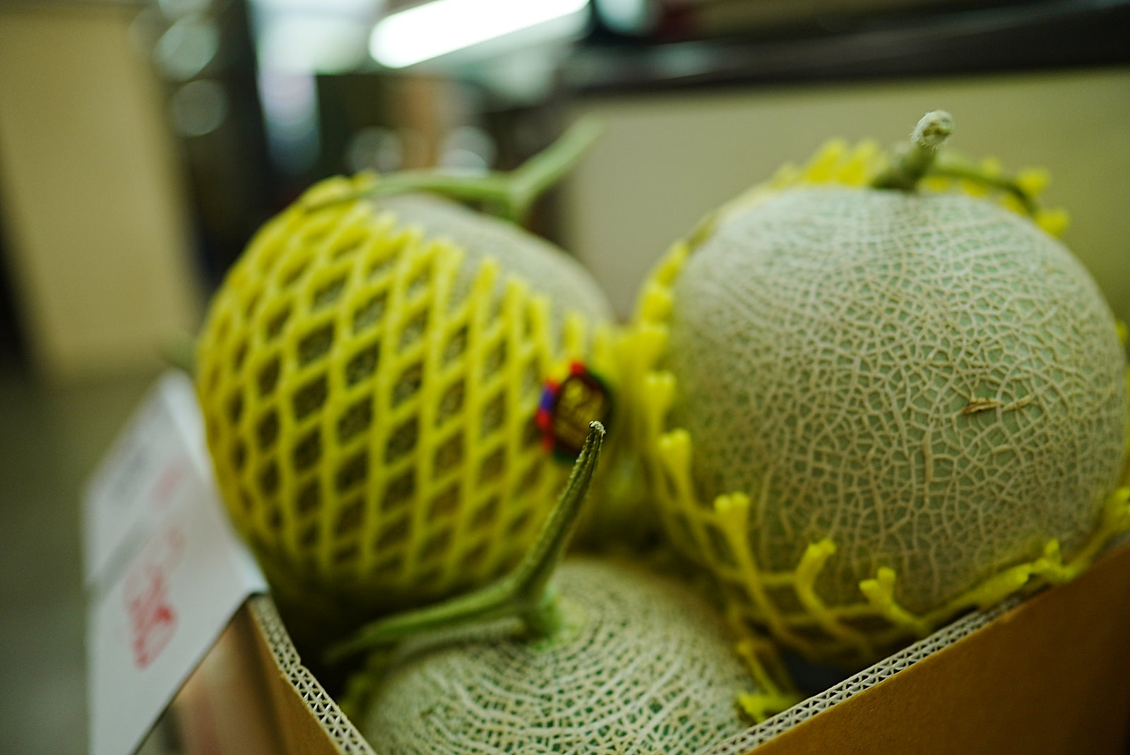 2022년 5월 19일 목요일 분당 TOMATO의농비어천가 : 네이버 블로그, image size:1600x1069