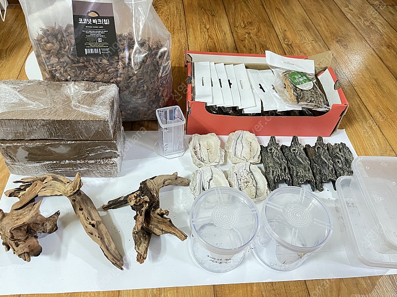 왕사슴벌레 및 곤충 파충류 용품--4