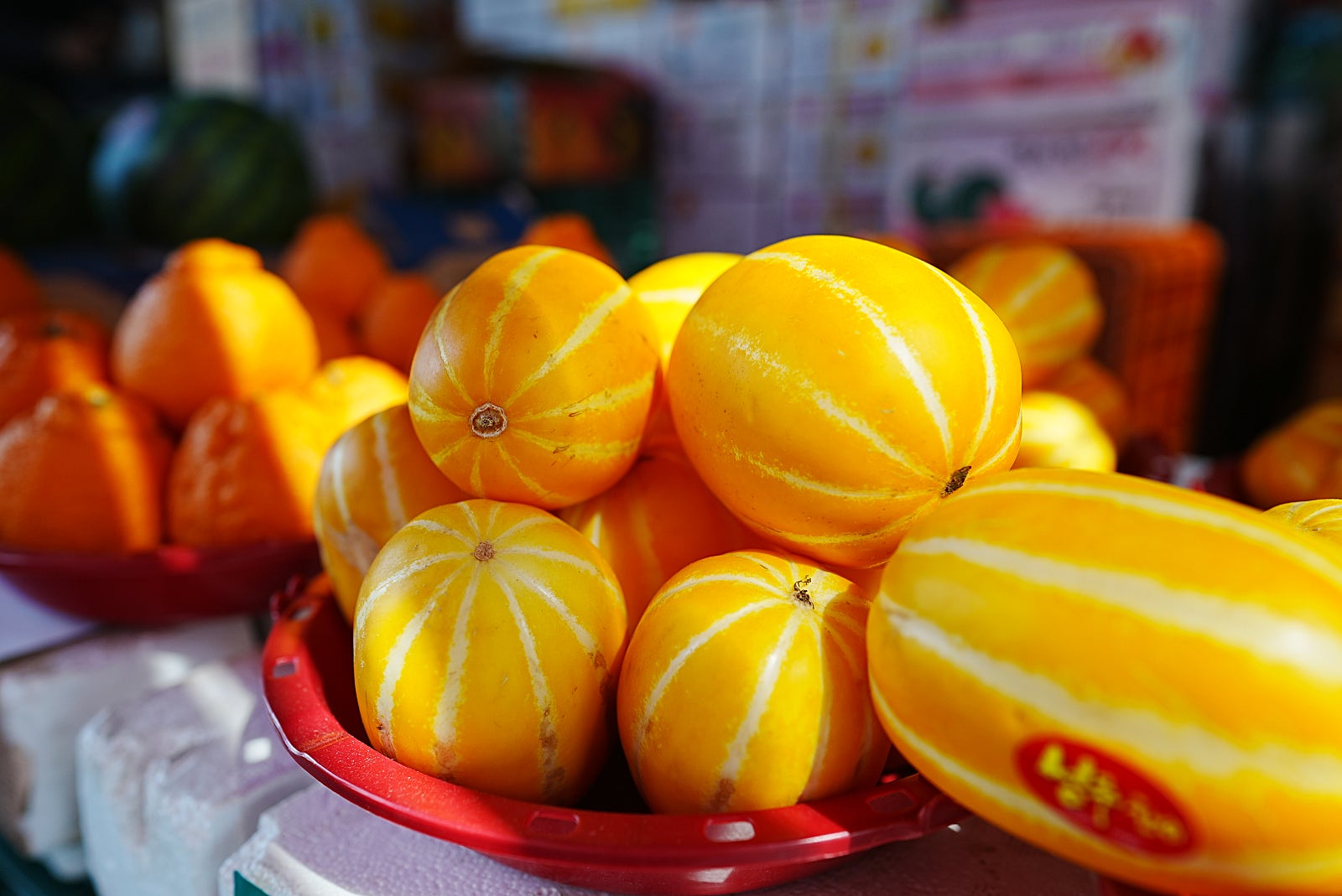 2022년 5월 19일 목요일 분당 TOMATO의농비어천가 : 네이버 블로그, image size:1600x1069