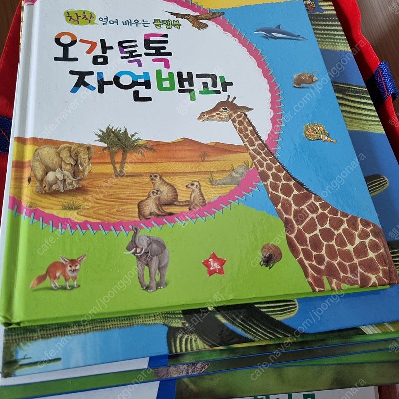 오감톡톡 자연관찰 글뿌리