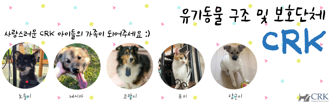 CRK-Companions Rescue in Korea♡유기견 반려견