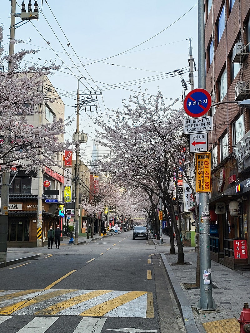 7월 2일 쏠비치 1박 스위트룸구합니다