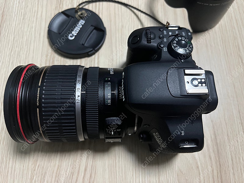 대구 캐논 EOS 800D + 축복렌즈 팝니다 그 외 (아트삼식이, 쩜사, 애기만두, 헝그리망원, 10-22광각렌즈...--1