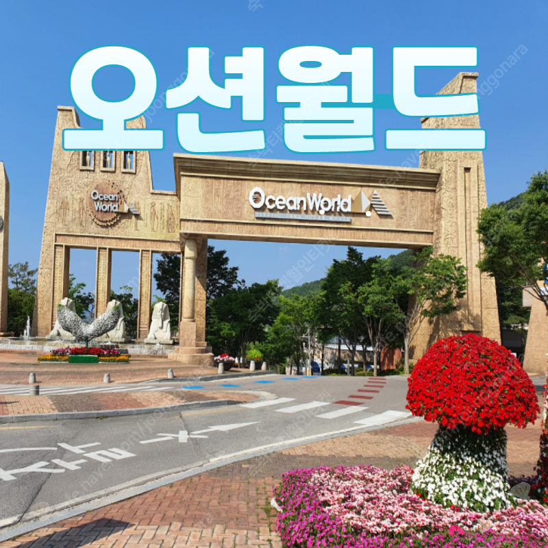 홍천 오션월드 입장권 종일권 / 구명조끼 할인매장