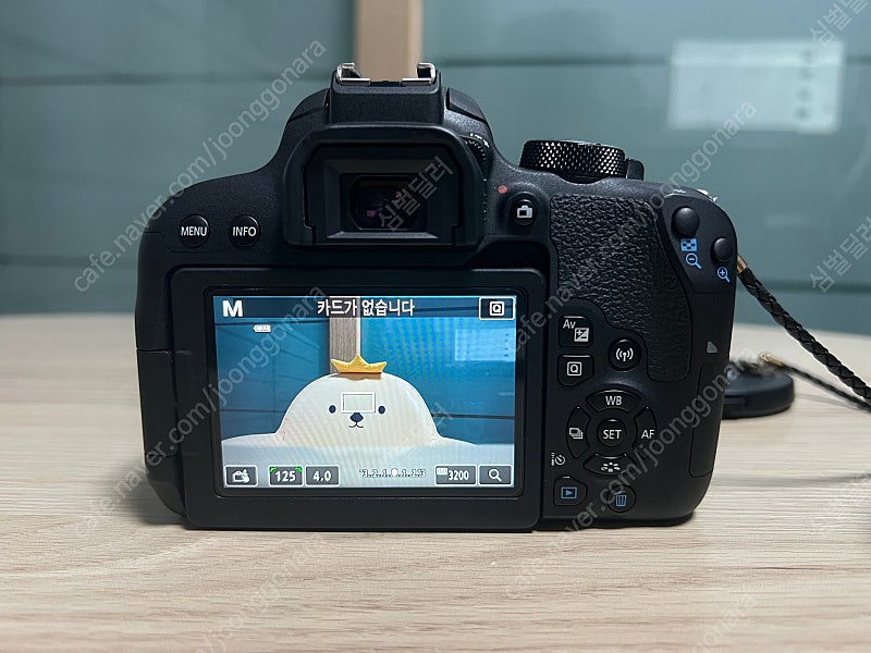 대구 캐논 EOS 800D + 축복렌즈 팝니다 그 외 (아트삼식이, 쩜사, 애기만두, 헝그리망원, 10-22광각렌즈...--3