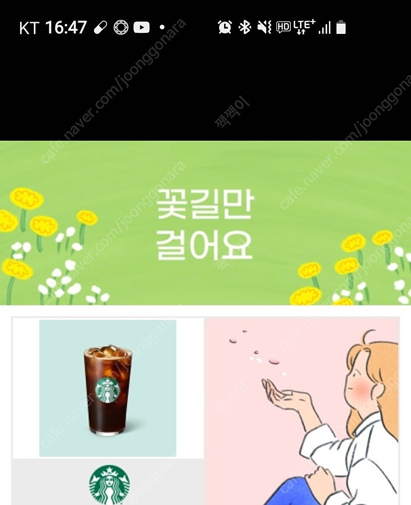 스벅 스타벅스 아메리카노