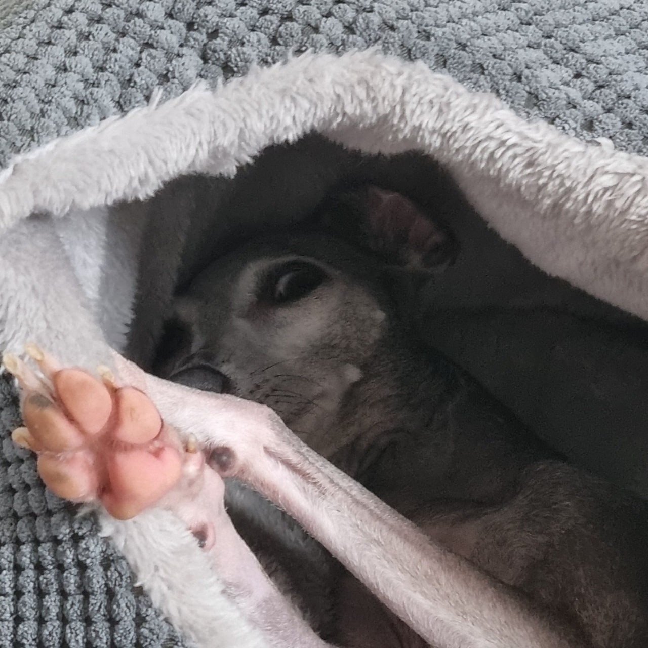 루담 이미지