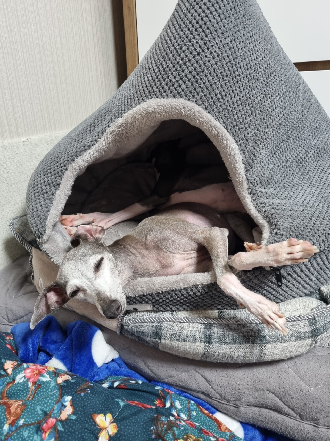 루담 이미지